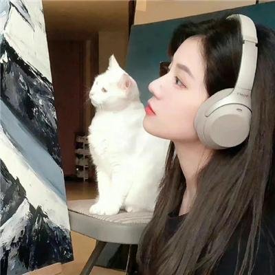 雄狮 海报