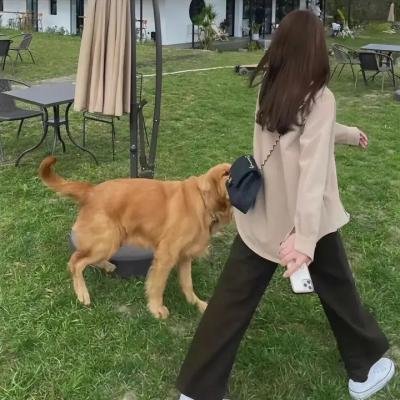 我嫁了个影子 海报