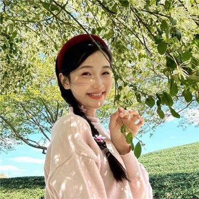 狐狸与我国语 海报