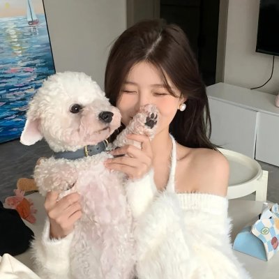 我的战舰能升级 动态漫画 海报